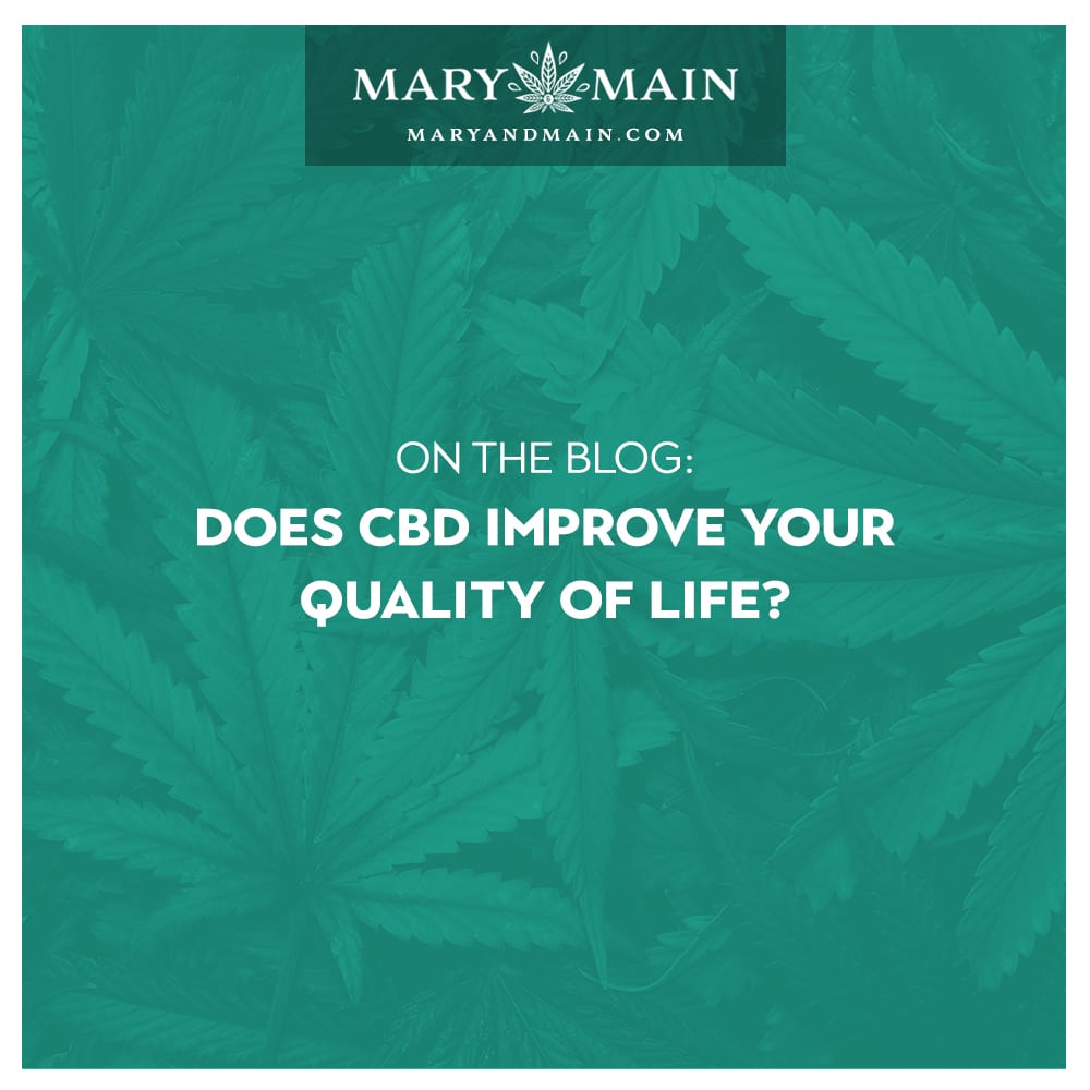Does CBD Improve Your Quality of Life?