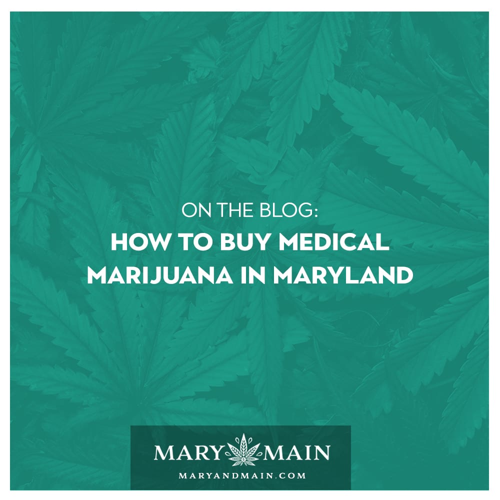 How to Buy Medical Marijuana in Maryland