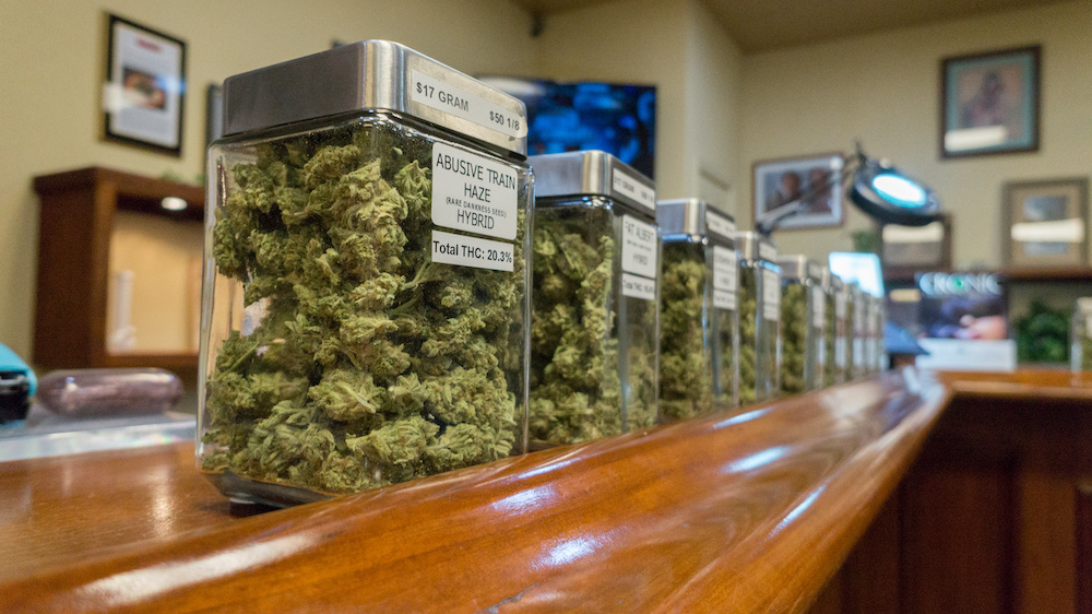 Shelf life of medical marijuana