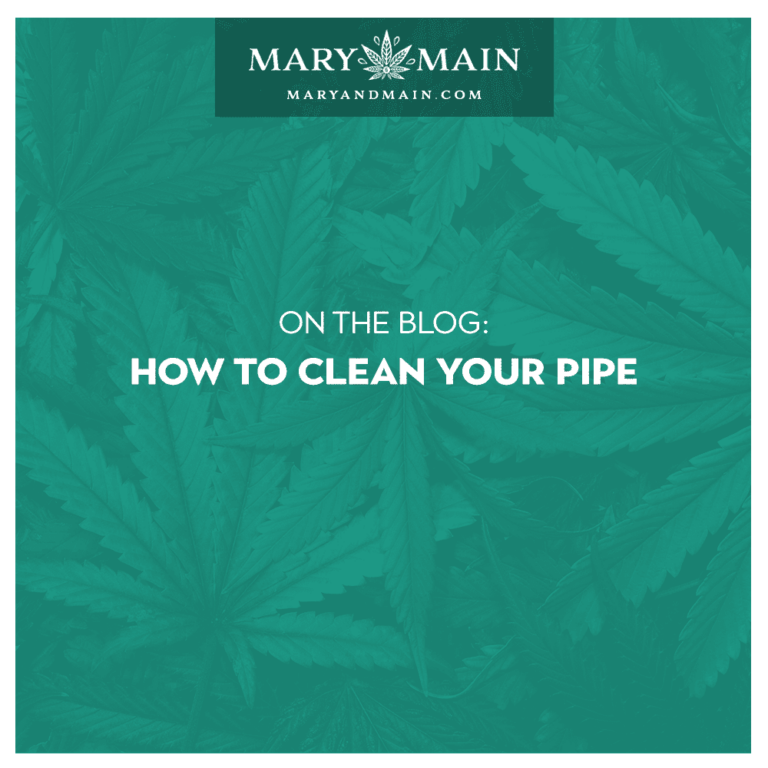How to Clean Your Pipe Mary & Main