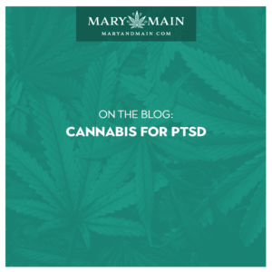 cannabis for PTSD