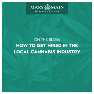 How to Get Hired in the Local Cannabis Industry