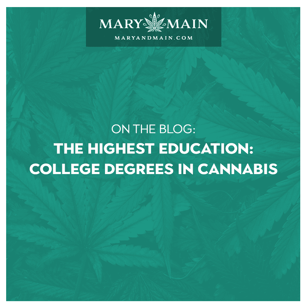 The Highest Education: College Degrees in Cannabis