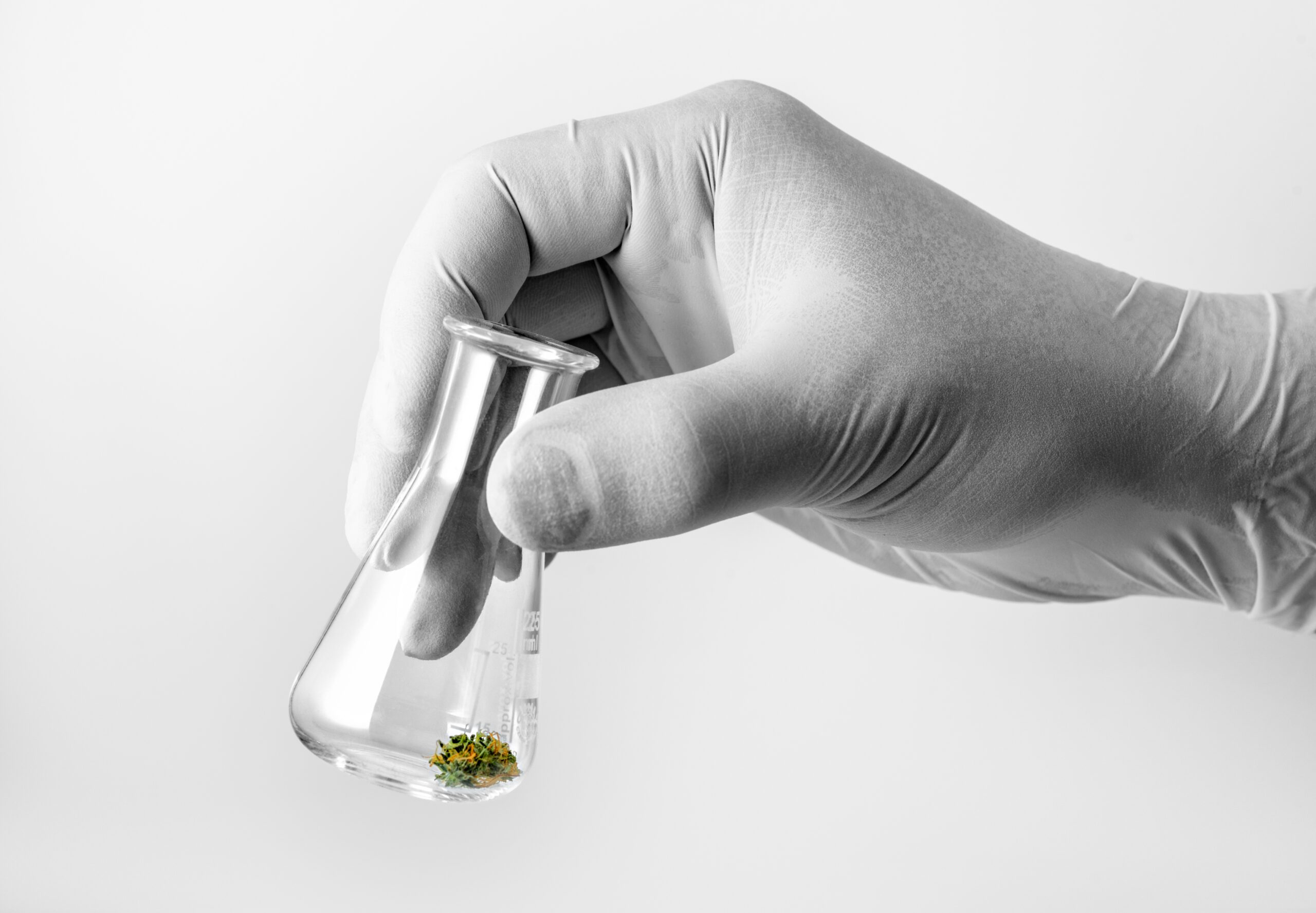 Microdosing Cannabis