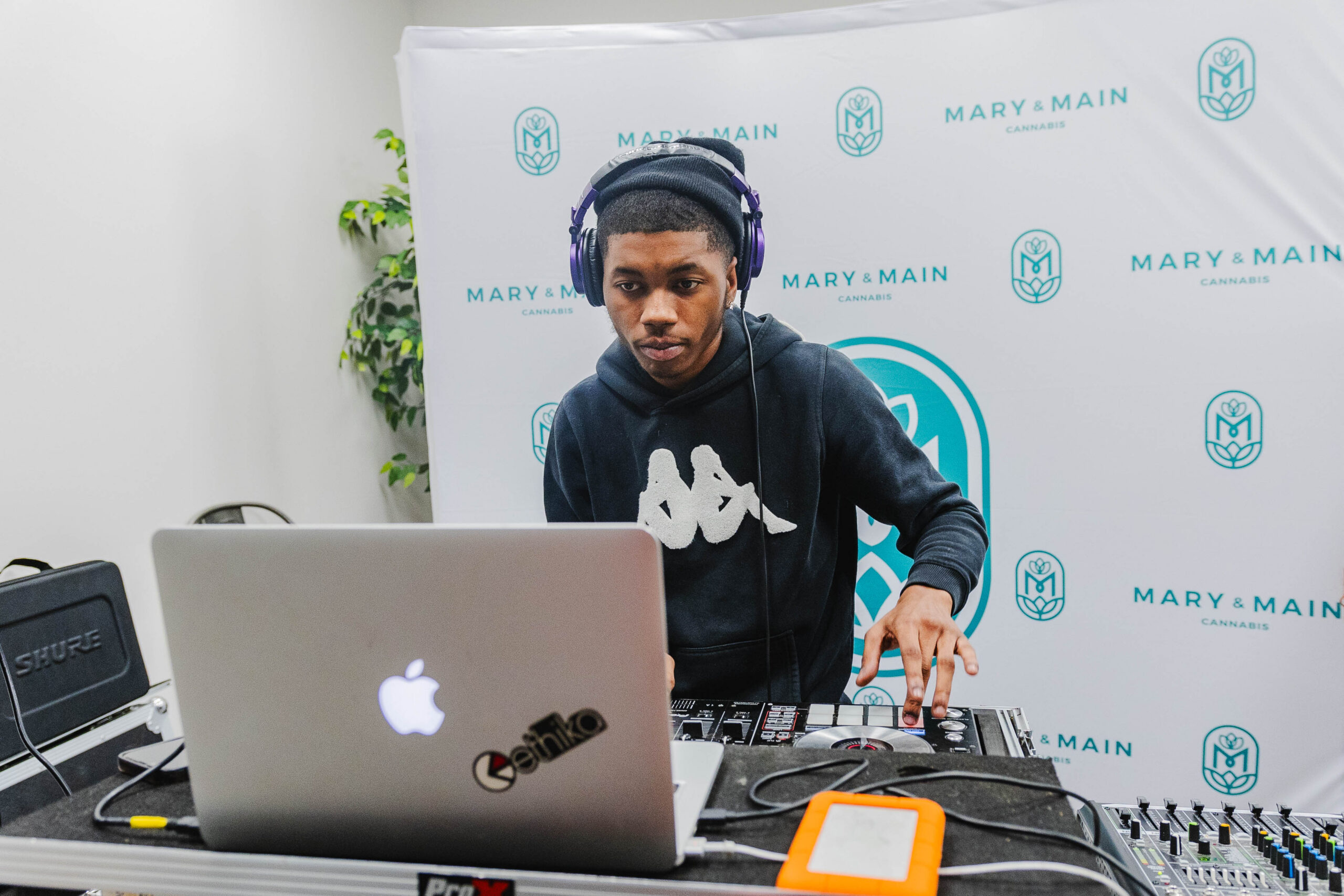 DJ and crowd at music event