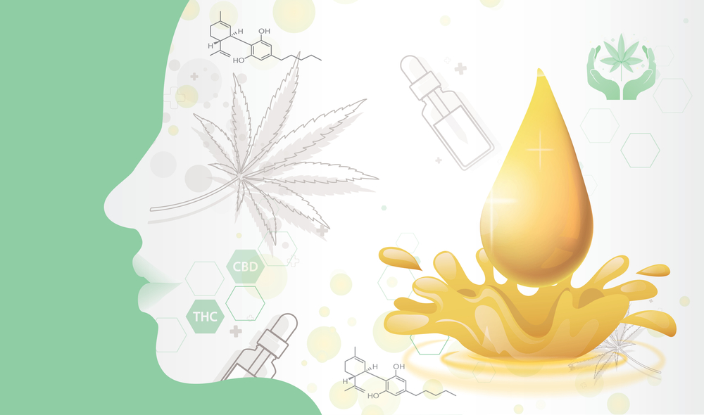 What Is the Endocannabinoid System?