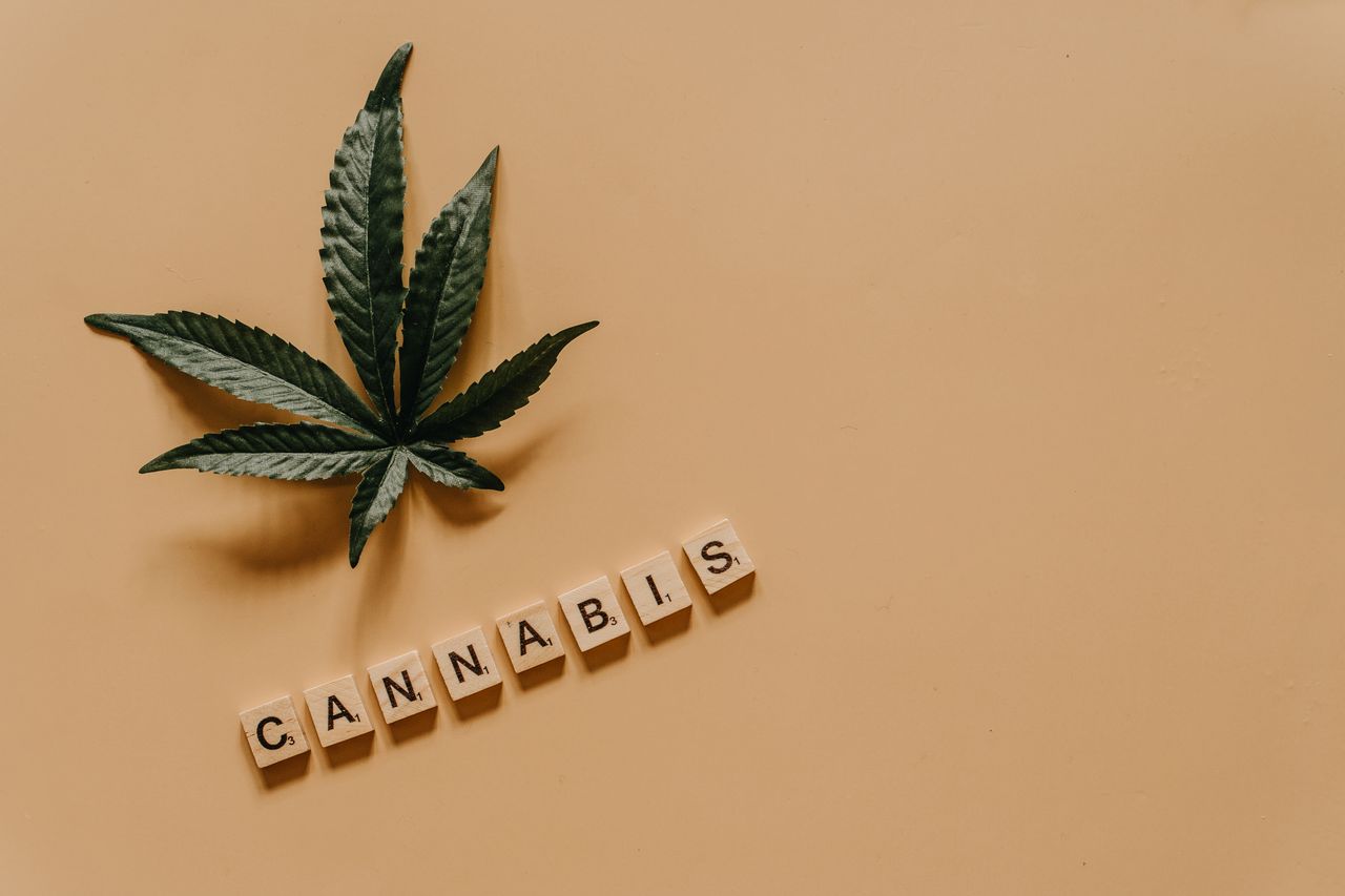 cannabis leaf and word in domino blocks
